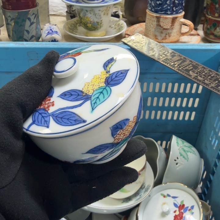 瓷片开播啦…开播啦！