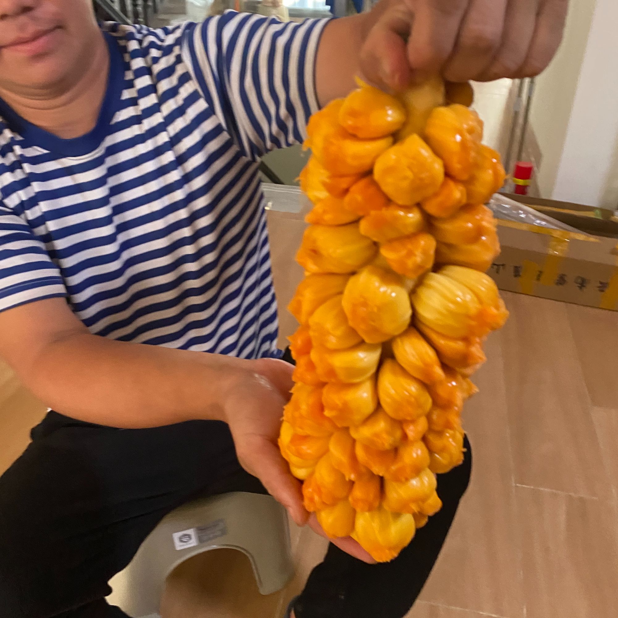 新品红肉榴莲蜜 香蜜一号榴莲蜜嫁接苗 无毛耐寒甜度高品种