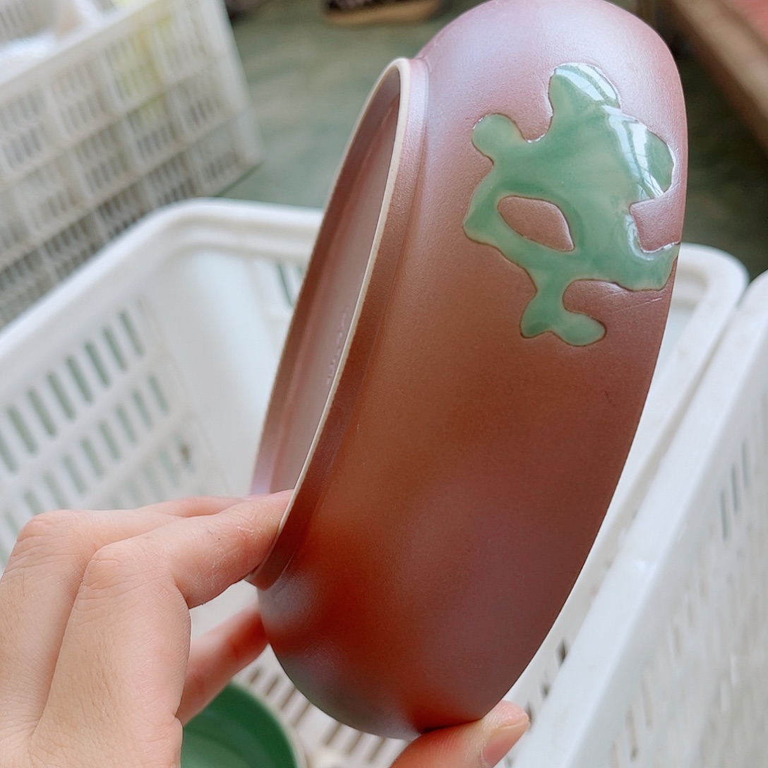 青瓷哈哈哈哈哈哈哈哈哈哈哈