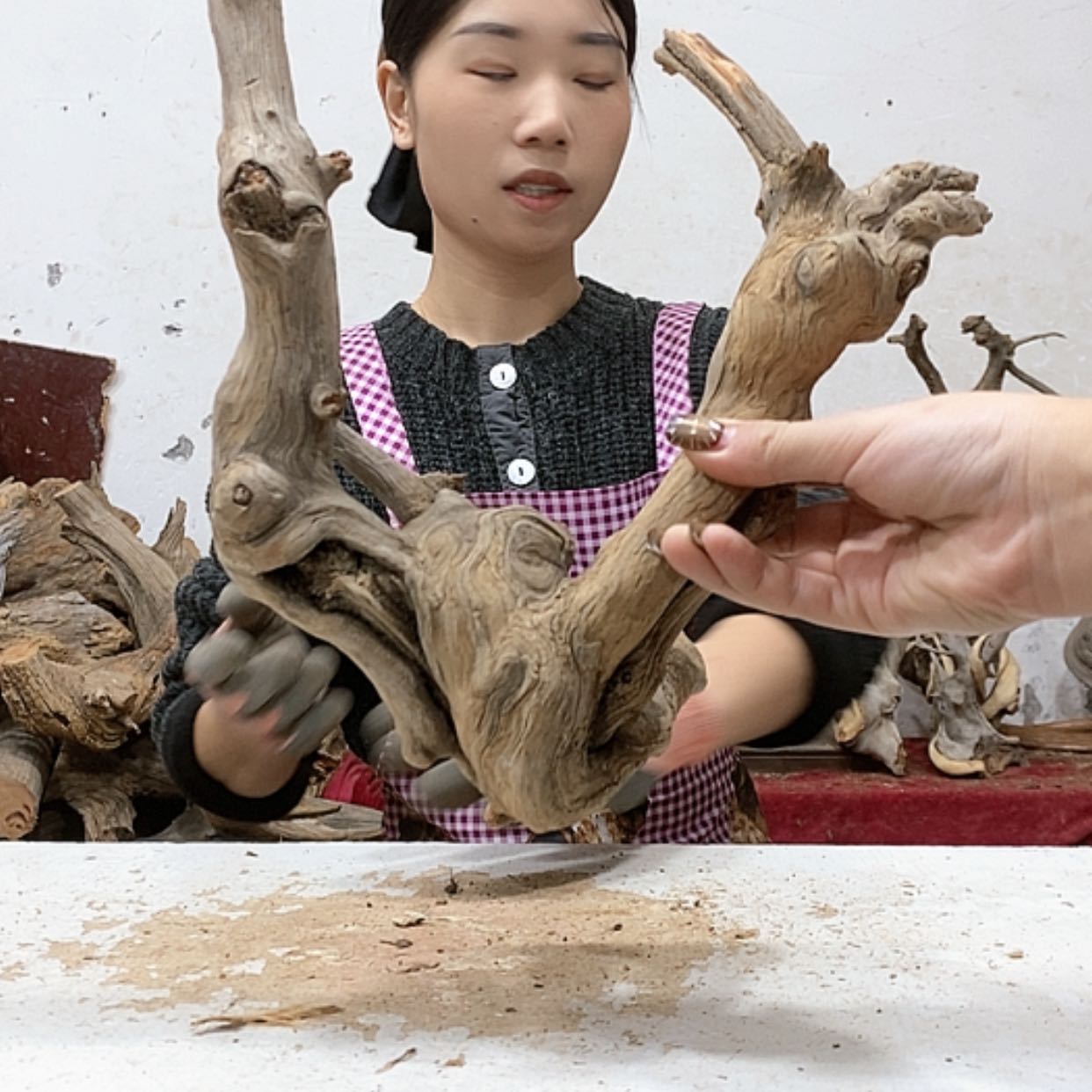 【闪购商品】柏木楼**何我们都是好孩子