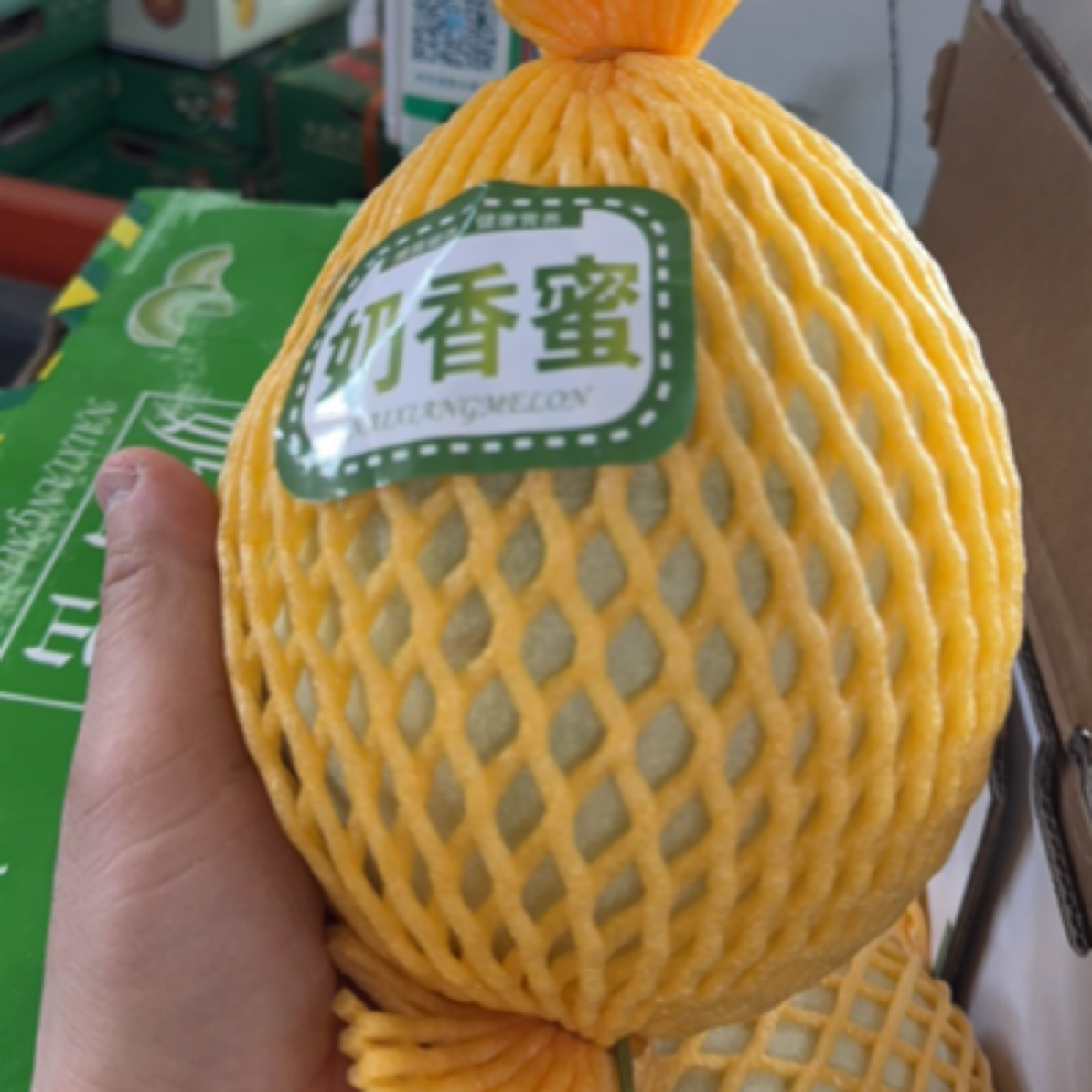 【小时达】奶香蜜甜瓜1个（大果约2.8斤左右，软甜蜜甜）