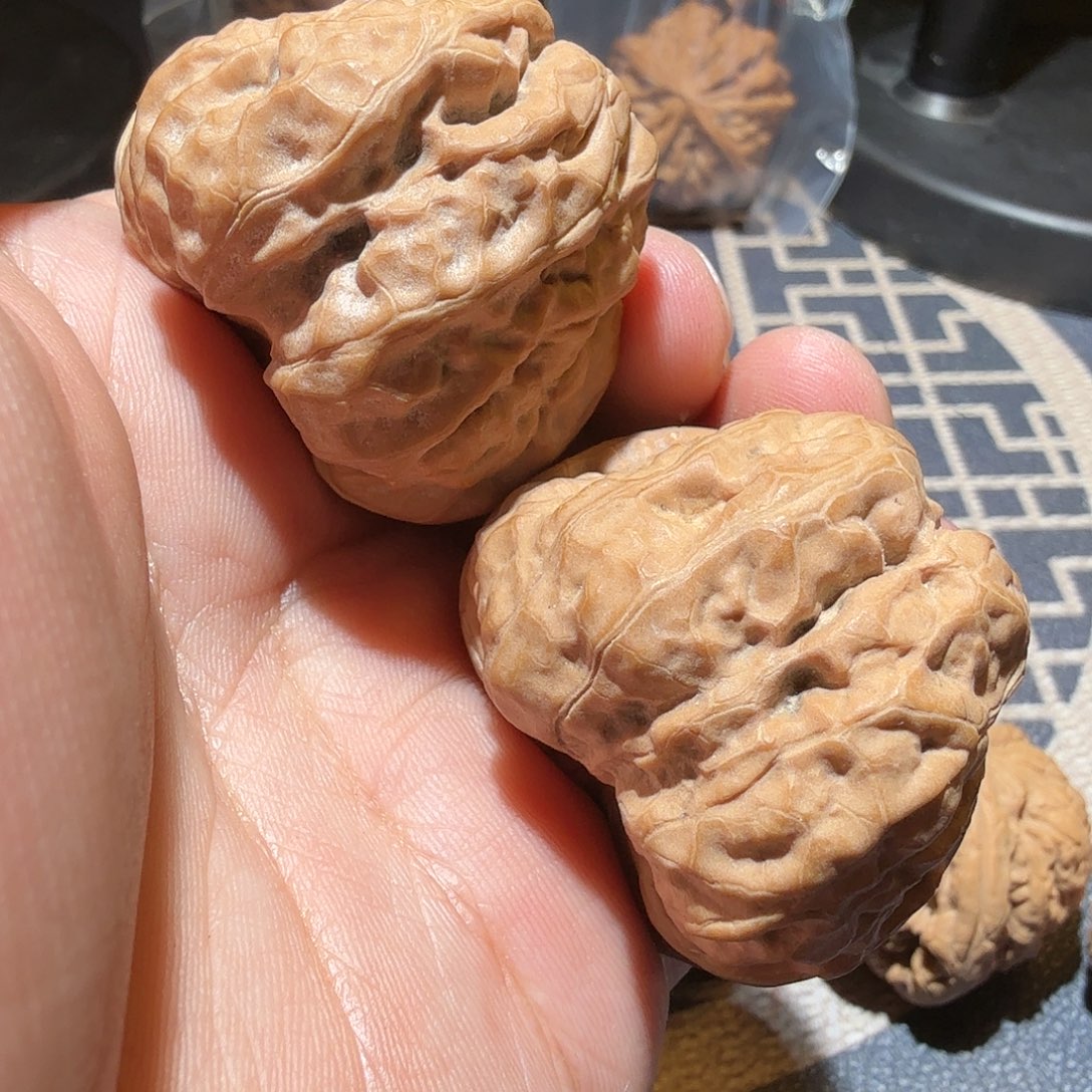 文玩核桃把件?*哥金蟾