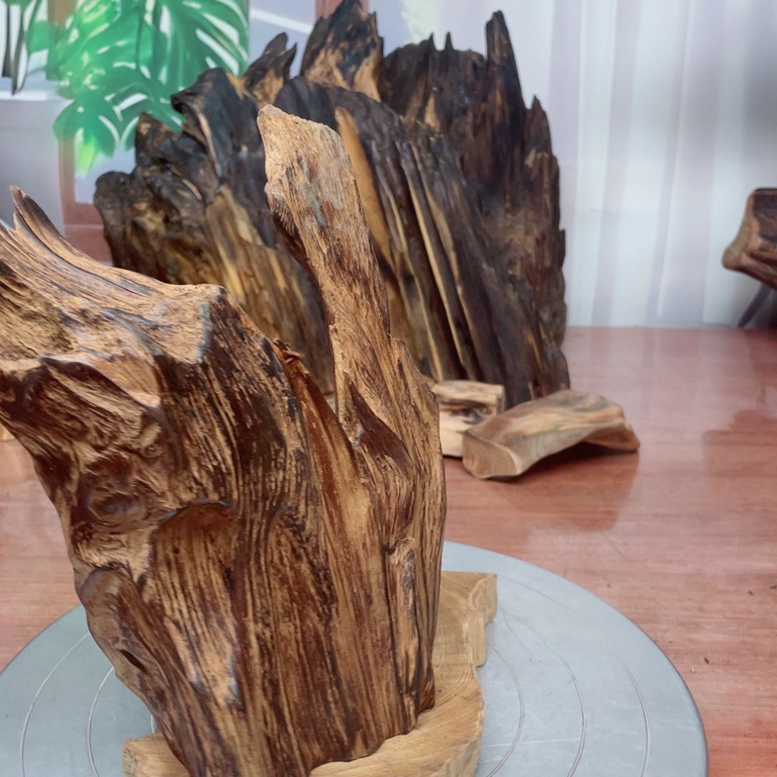 信***王你明明窜女命哟呵名