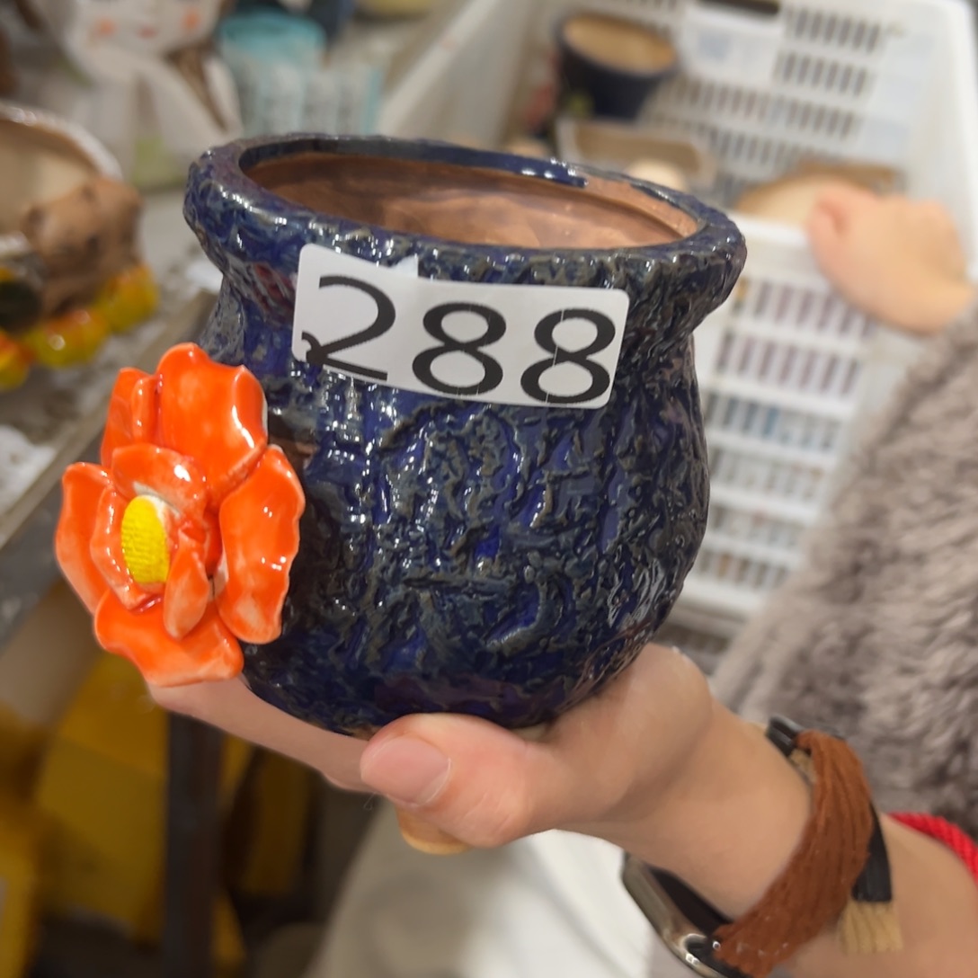 花盆，拍满20发货，退款拉黑