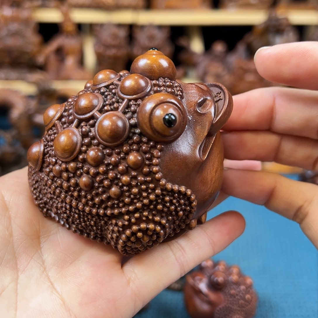 黄杨木小叶黄杨木