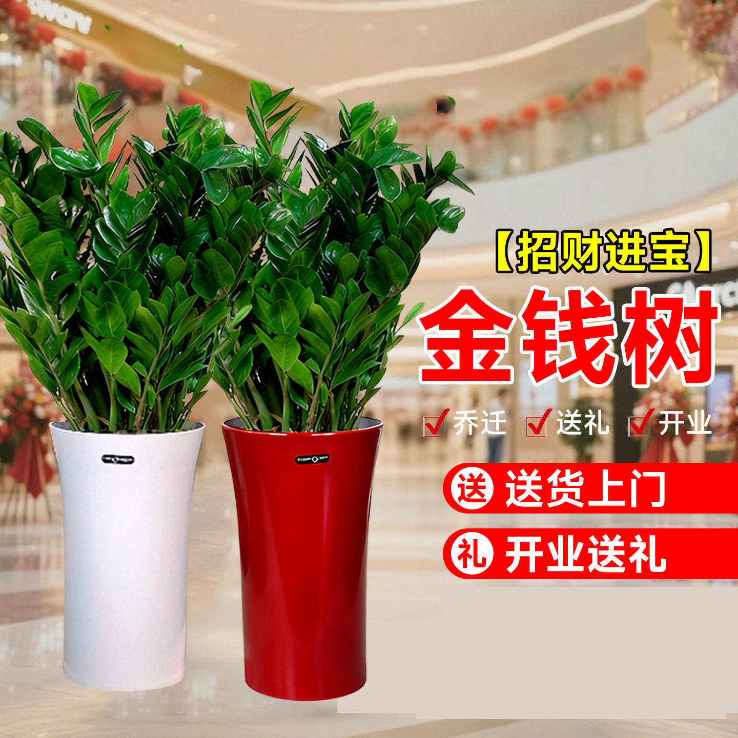 1.2 - 1.4米大型金钱树盆栽落地款室内净化空气好养绿植