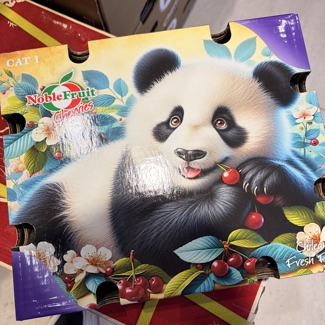 海运智利车厘子4JDsantina品种5斤智利