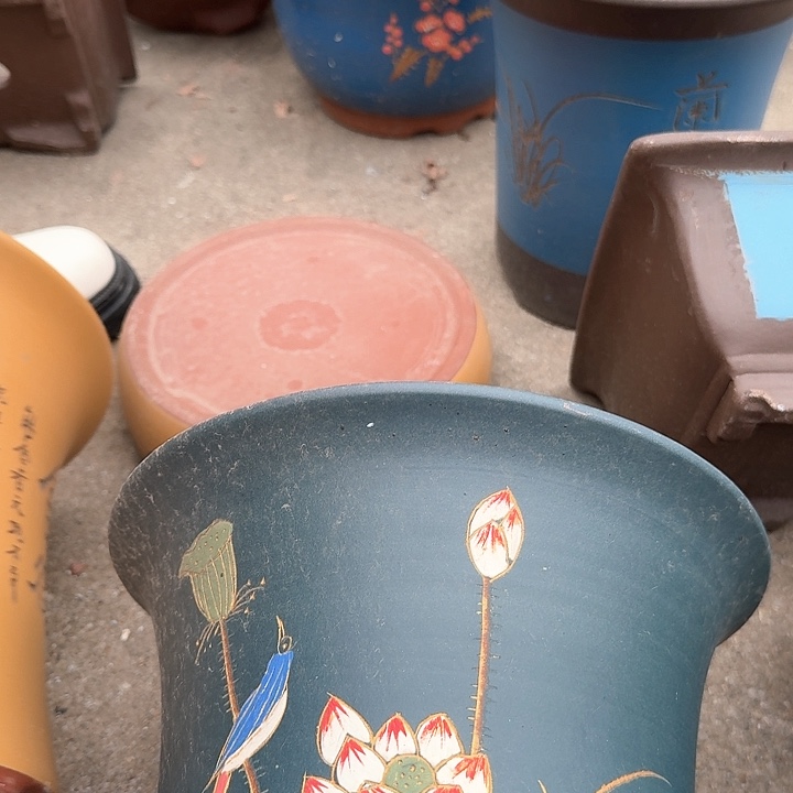 紫砂蓝色荷花蓝色舍得大