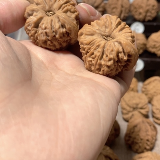 文玩核桃把件哥哥哥哥哥哥哥哥哥哥哥哥