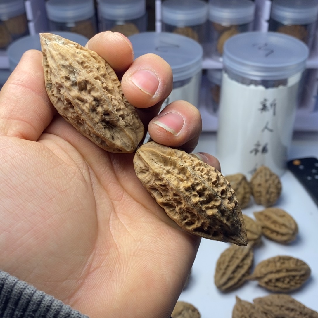 把件龙脊菩提野生楸子鞋拔子