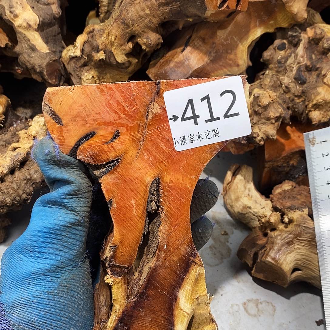 香榧木老*火琉璃……火琉璃