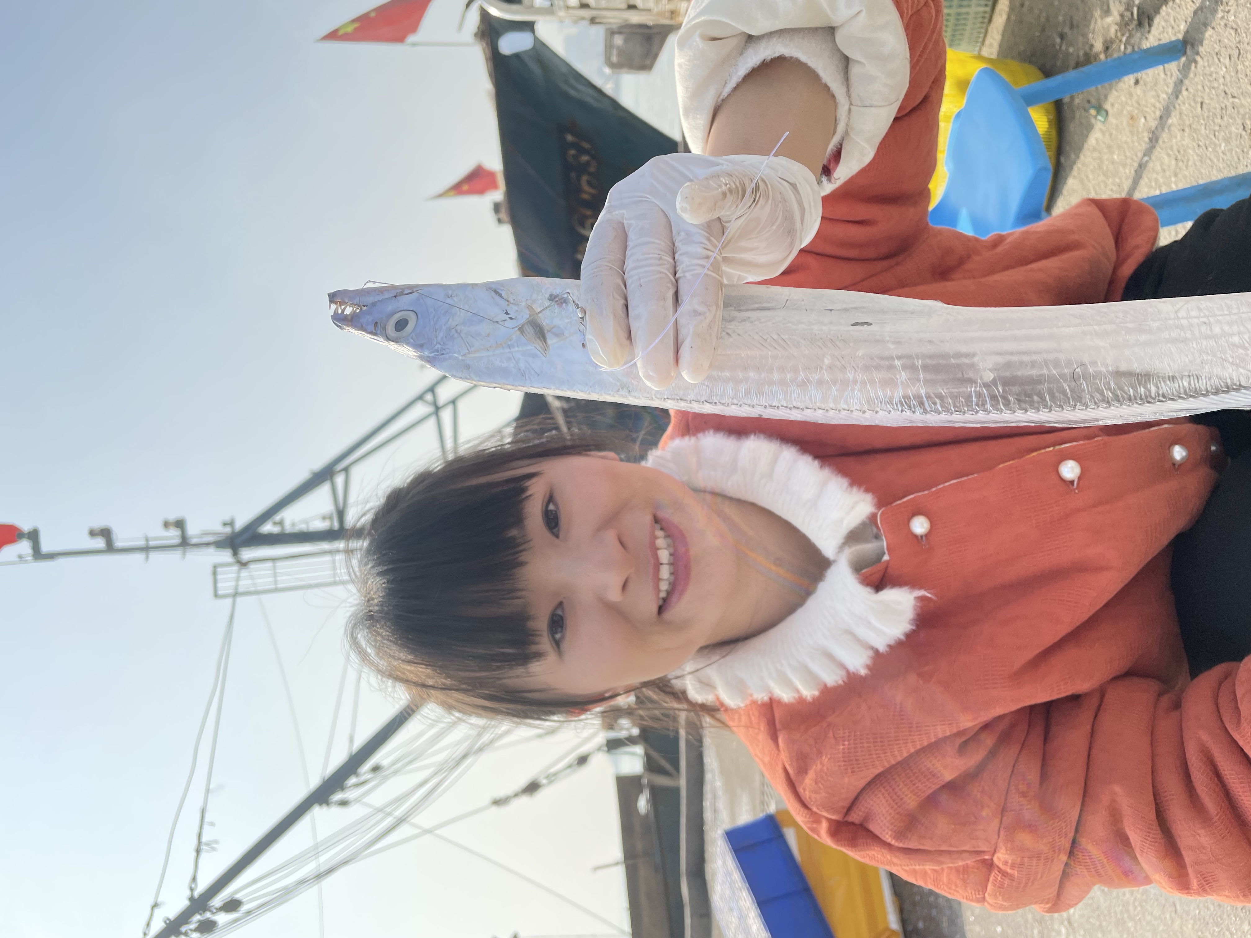 大带 青岛野生油带鱼拖网捕捞半斤左右9条左右净重4斤  顺丰包邮