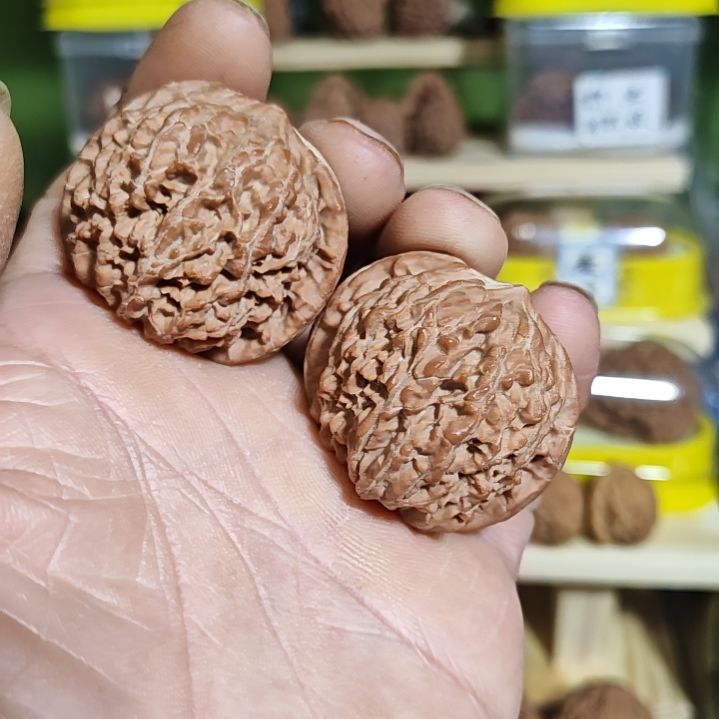 41加尺寸，137狮子头，练手