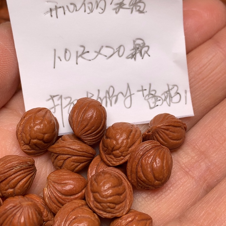 开***着野生龙纹桃核小龙纹