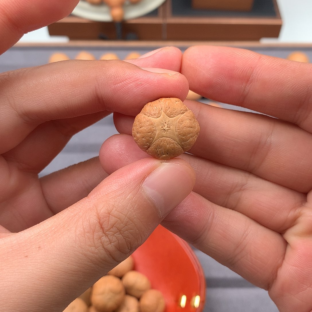 手串凤眼菩提福利特价20+五星，非质量问题开孔不退