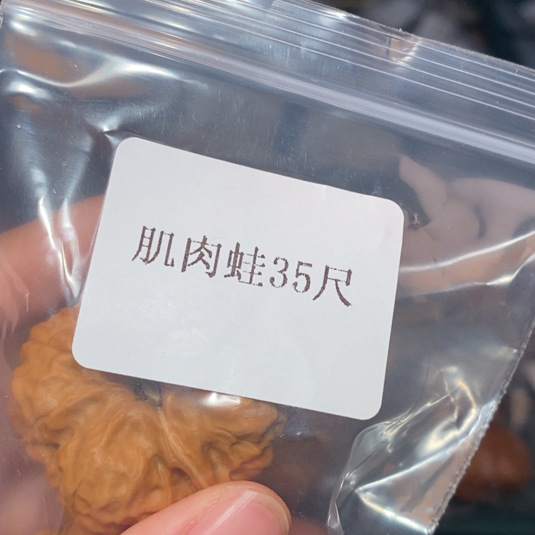 文玩核桃吊坠35肌肉蛙