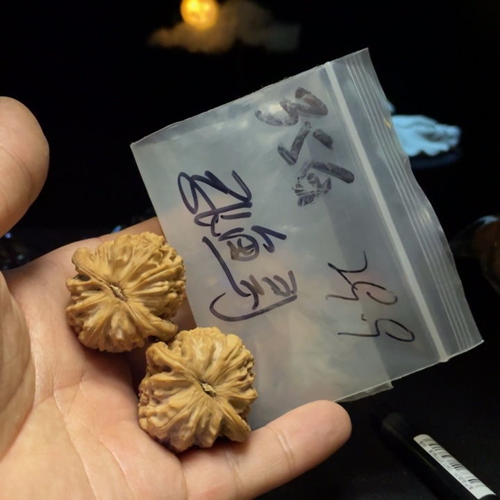 文玩核桃把件张*哥白狮子