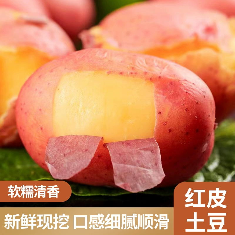 土豆红皮土豆 高海拔产出 营养丰富 口感优异汁多有粘性