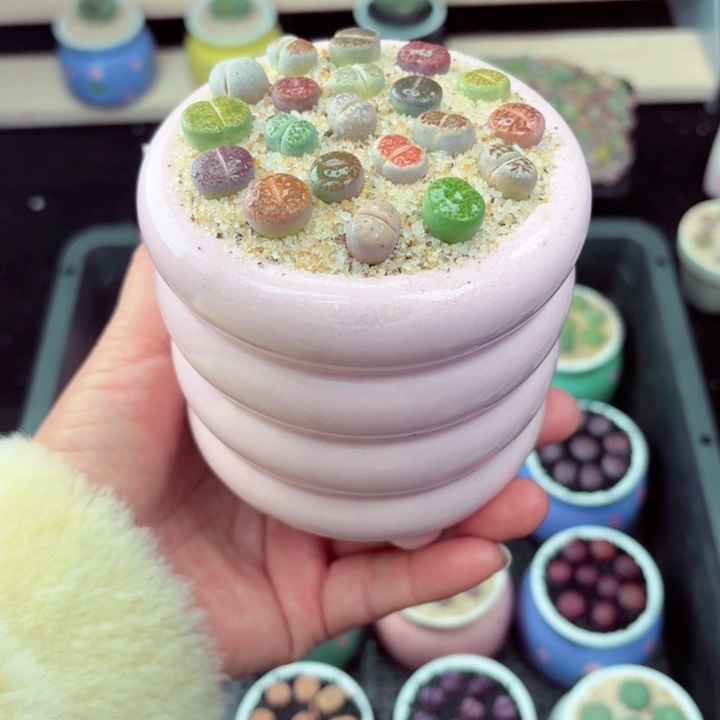 517零下地区记得拍保温箱