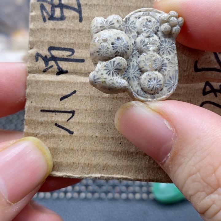 硅化珊瑚（珊瑚玉）颈饰未镶嵌