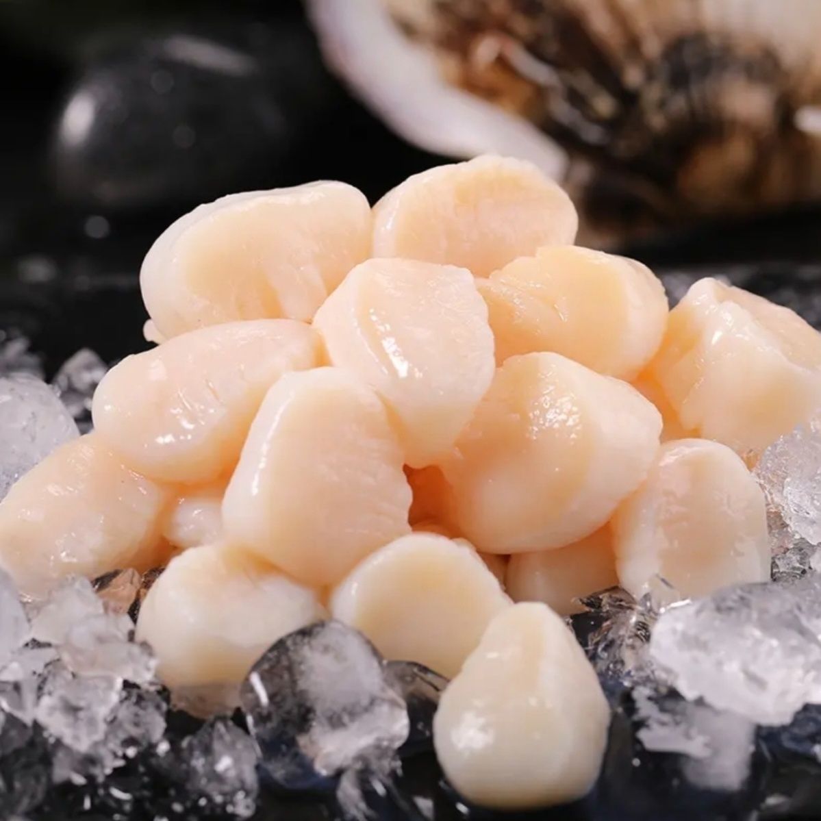 【大连金石滩】鲜剥原浆扇贝丁（70-80粒/斤）（干冰速冻发货)