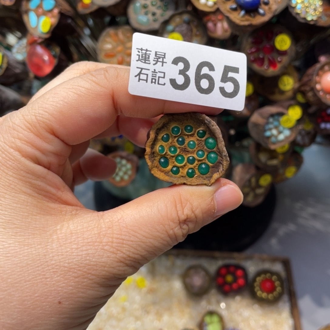 核桃木/黑胡桃（胡桃木）嘉**院365