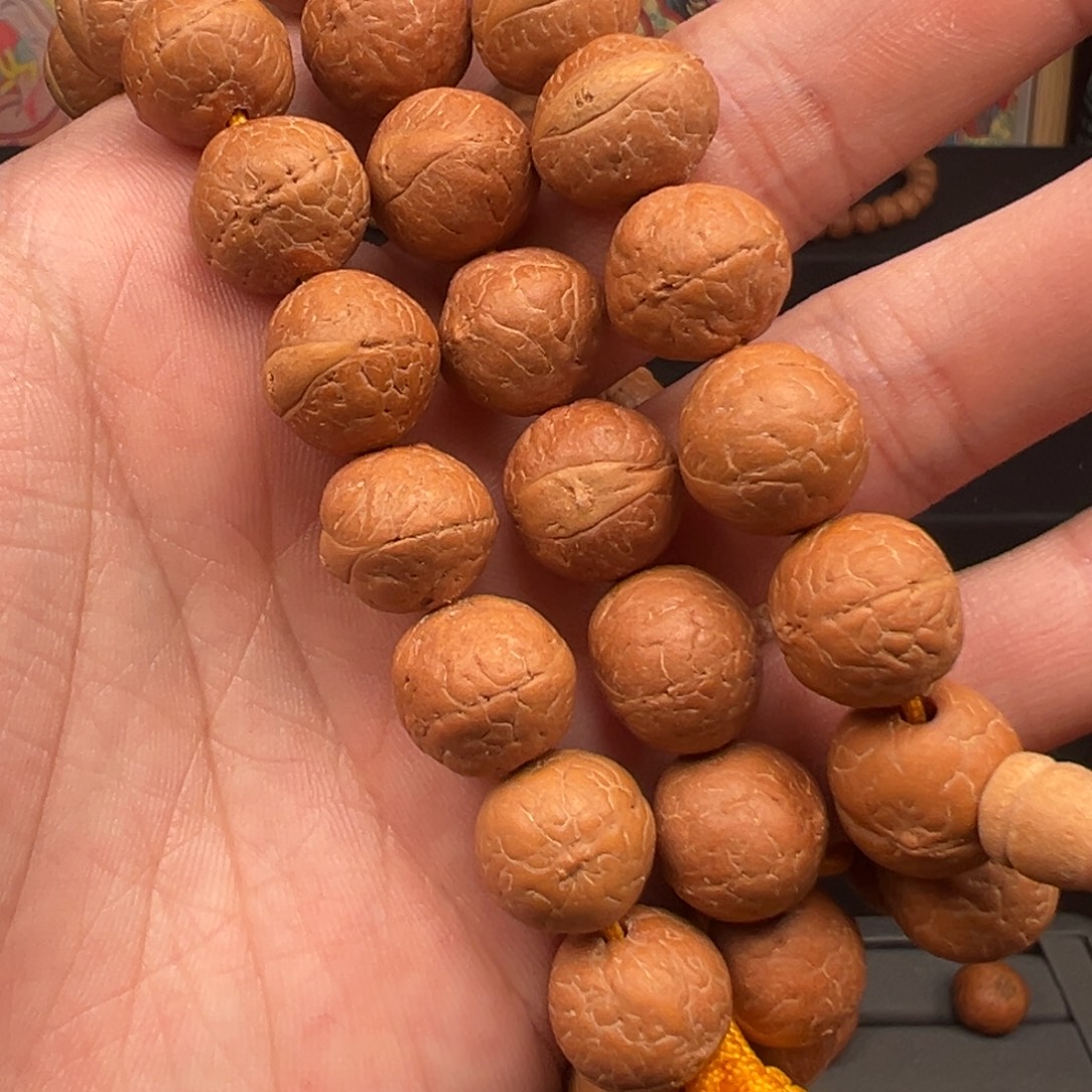 吊坠凤眼菩提13.5尺寸开播福利