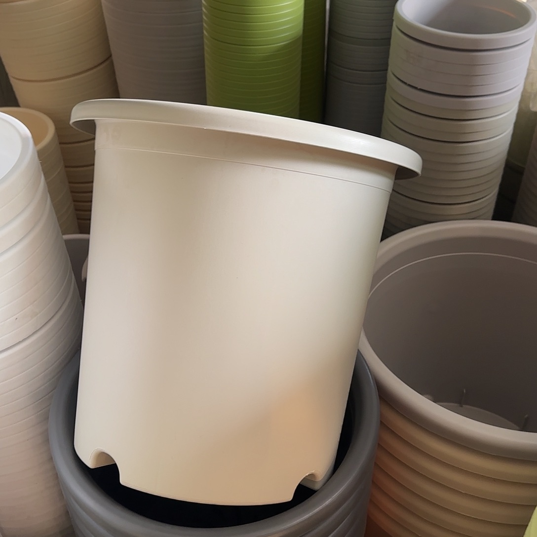 树脂四季8号无托5个米黄