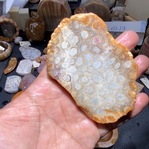 【闪购商品】硅化玉颈饰未镶嵌