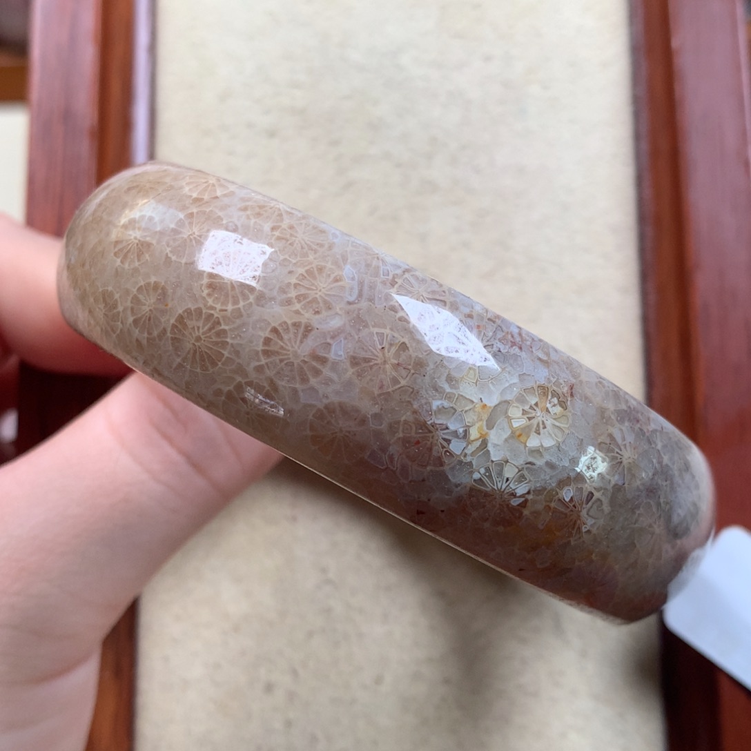 未镶嵌60圈300/个。05硅化珊瑚（珊瑚玉）