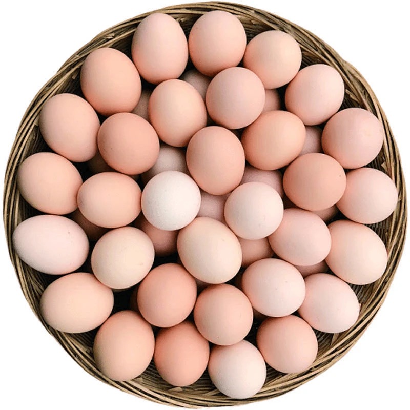 【浩然家庭农场】林地散养鸡蛋40枚