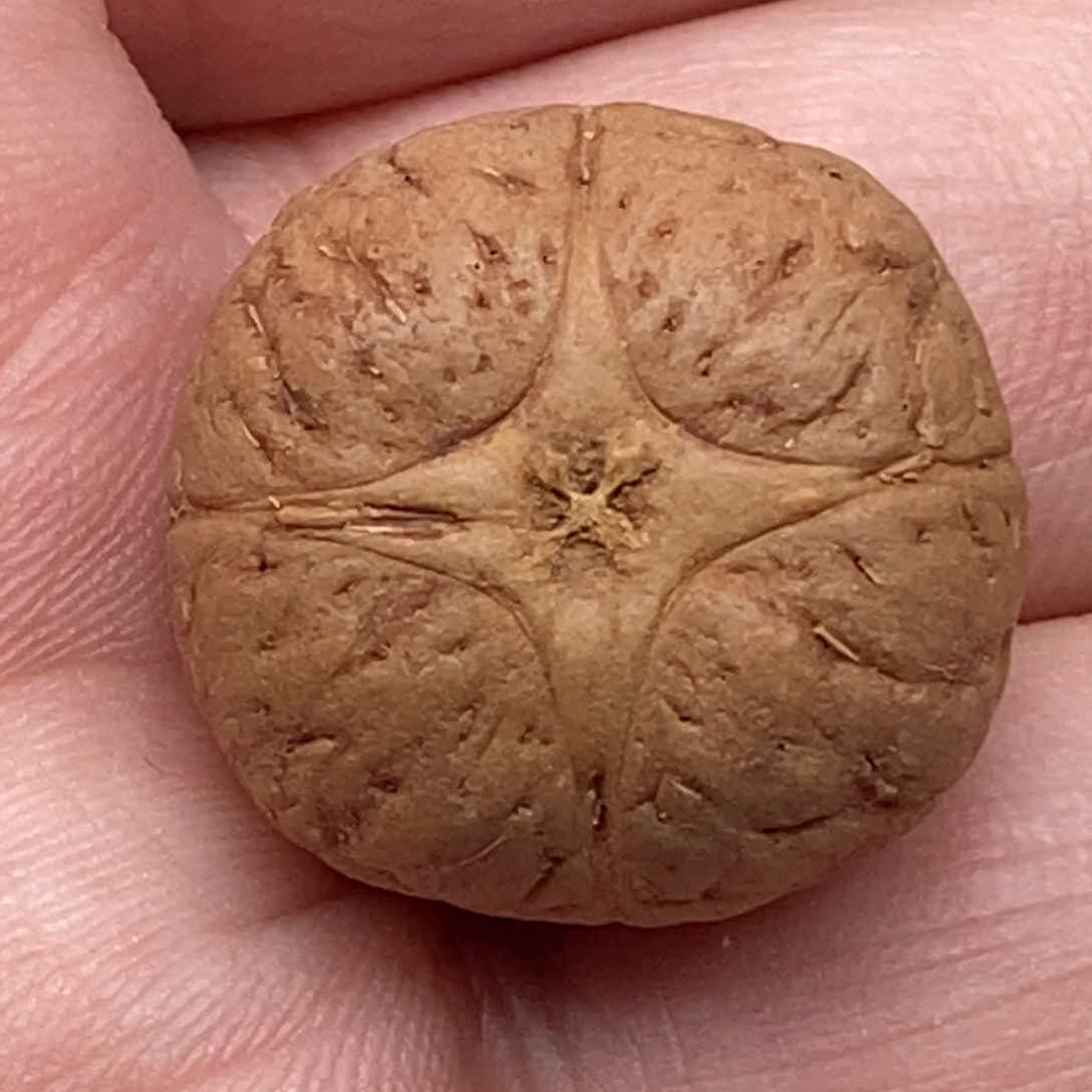 半***呀凤眼菩提把件麒麟眼23.4mm
