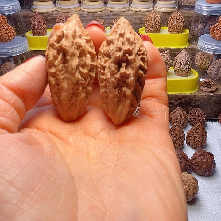 核桃14号车柳叶瓜条哦