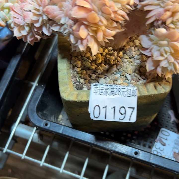 最***人幸运的是我还没遇到过这样