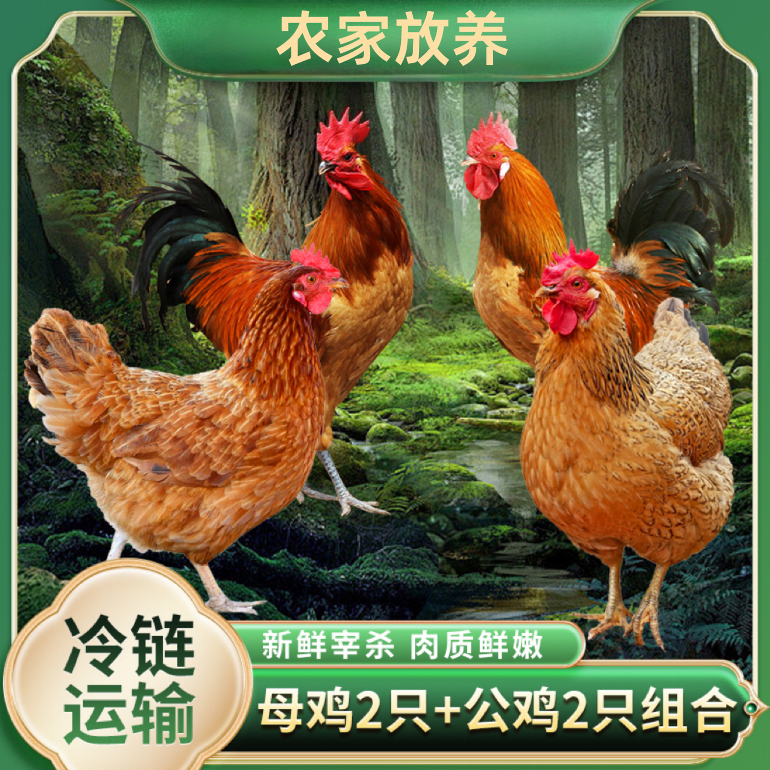 【小影】组合装2只母鸡➕2只公鸡 到手4只净重9斤