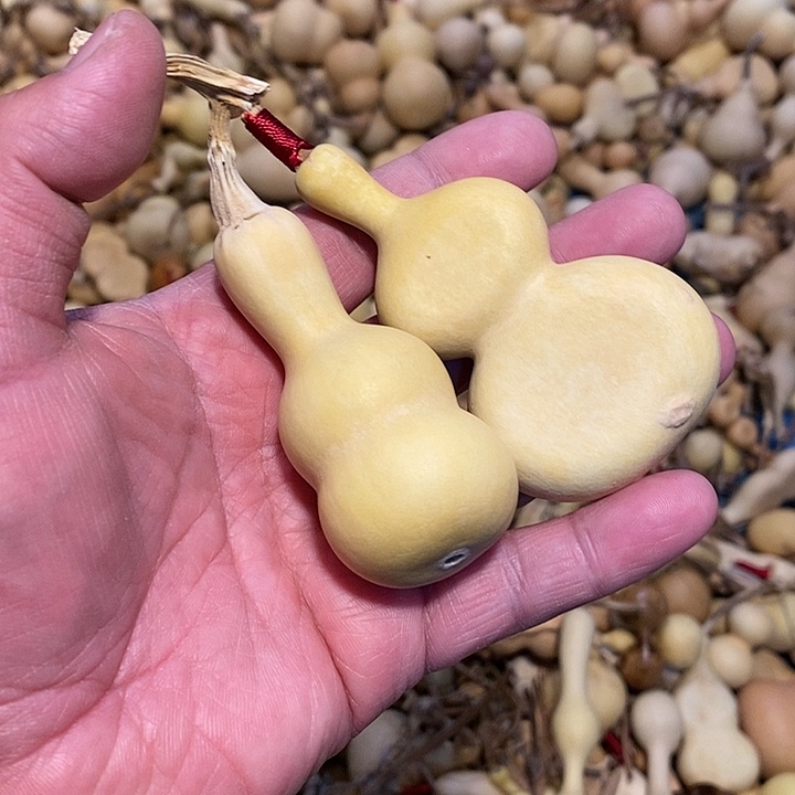 爱*惠精品葫芦手把葫芦41