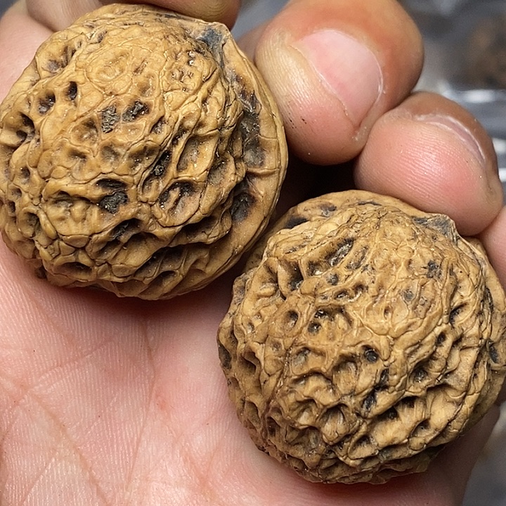 文玩核桃把件志成云铁文玩80