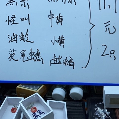 任选2只包风险开箱视频