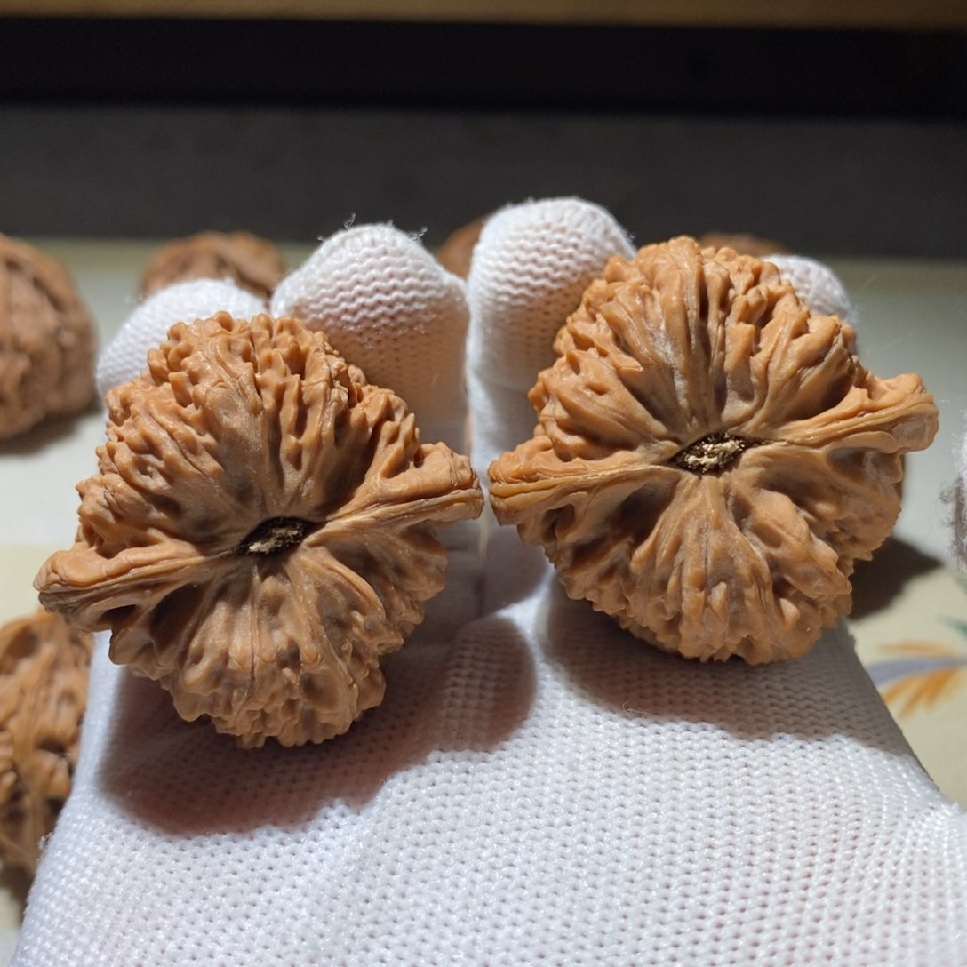 文玩核桃把件头****安南疆石41