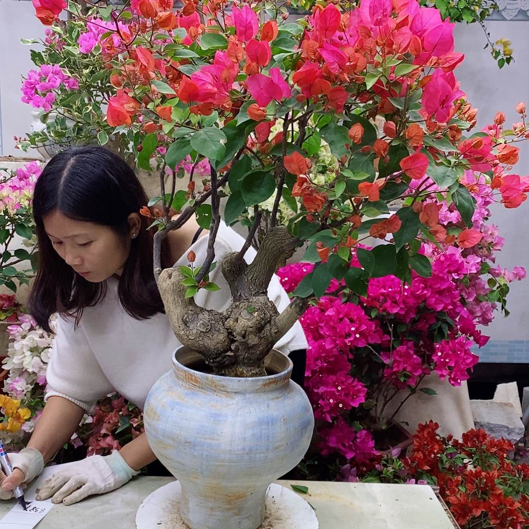 完全开放我要好好学习