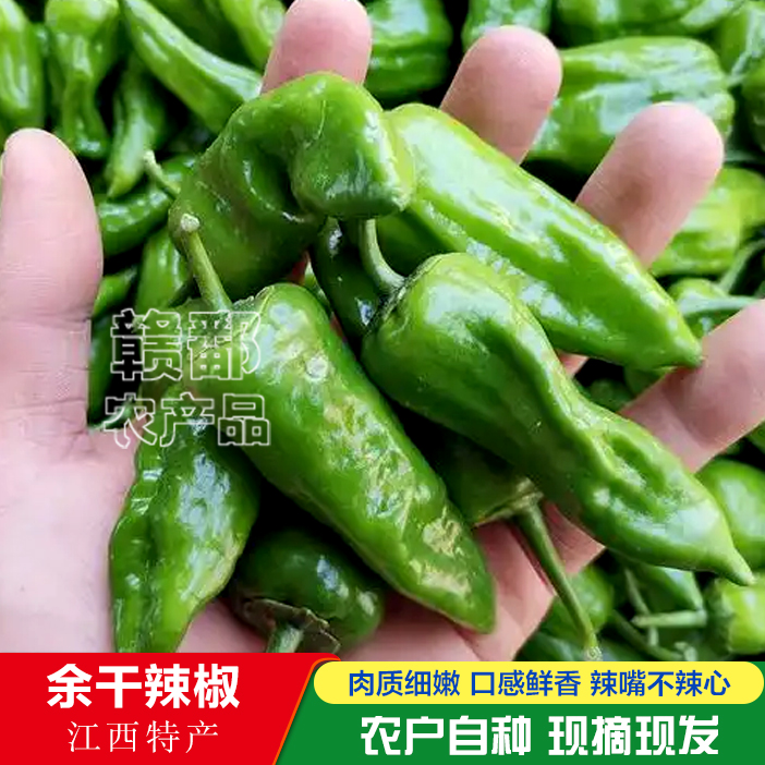中辣-江西特产正宗余干辣椒农家自种现摘现卖辣椒炒肉虎皮辣椒