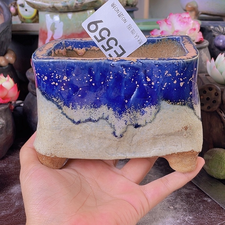 重庆小燕子欢迎大家559