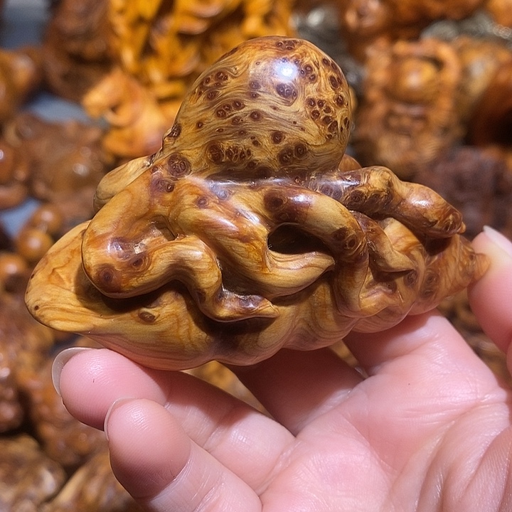 柏木太行崖柏陈化