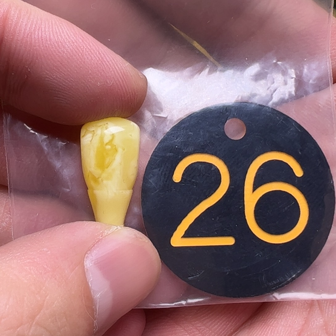 蜜蜡未镶嵌珠宝奇石10.2mm