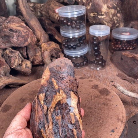 黄花梨/降香黄檀大*官