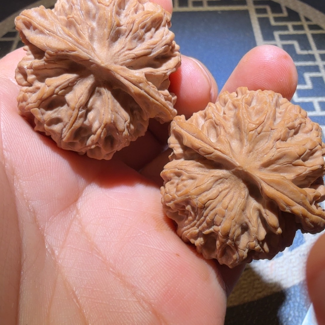 把件猴头核桃苹果园