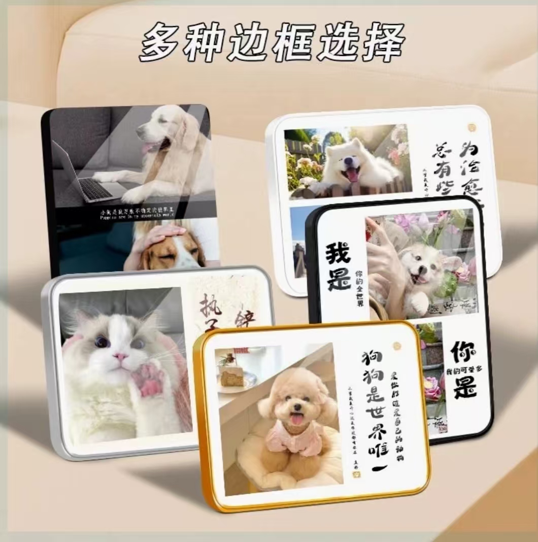 宠物定制相册相框照片画片创意设计家居装饰
