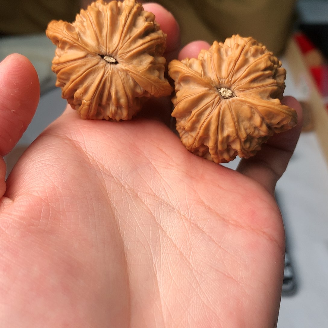 文玩核桃吊坠42尺全品山地磨38