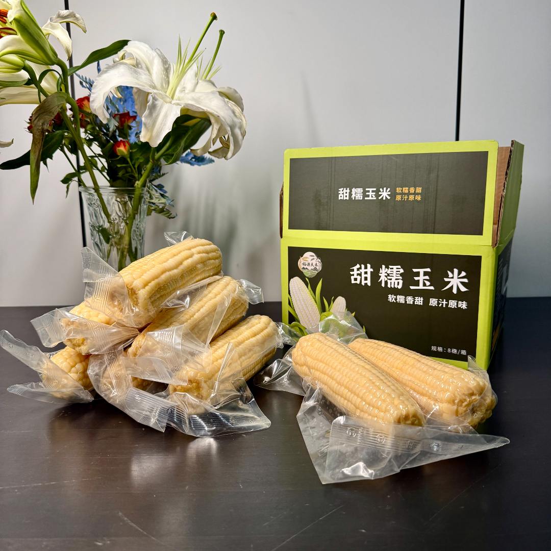 玉米东北甜糯鲜食玉米2025年黑龙江五常白糯玉米每箱8根 裕源天禾