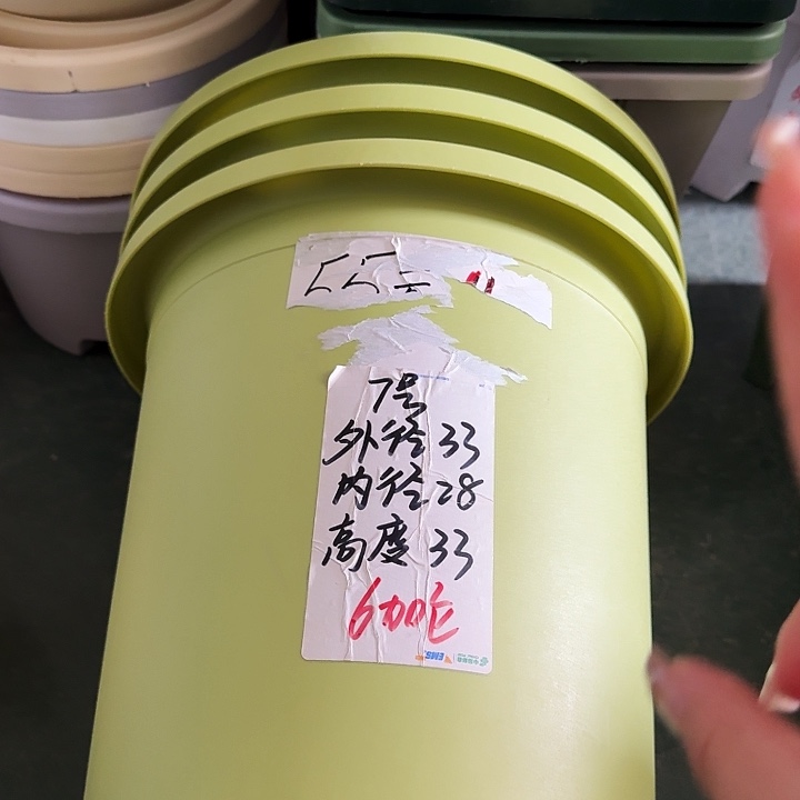 四季7号果绿无托6个特价微瑕